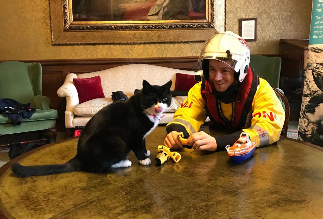 Image shows Palmerston the former FCO cat receiving gifts from a RNLI crew member