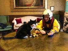 Image shows Palmerston the former FCO cat receiving gifts from a RNLI crew member